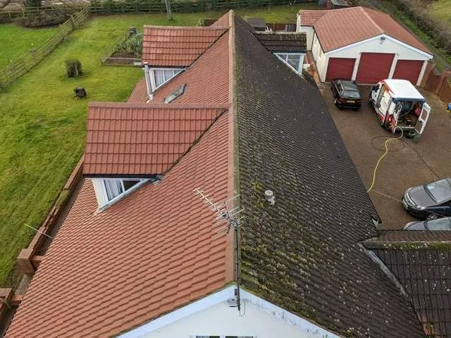 roof cleaning 